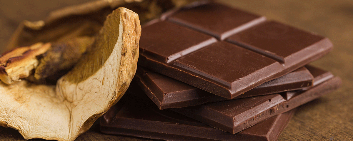 What Is Mushroom Chocolate?